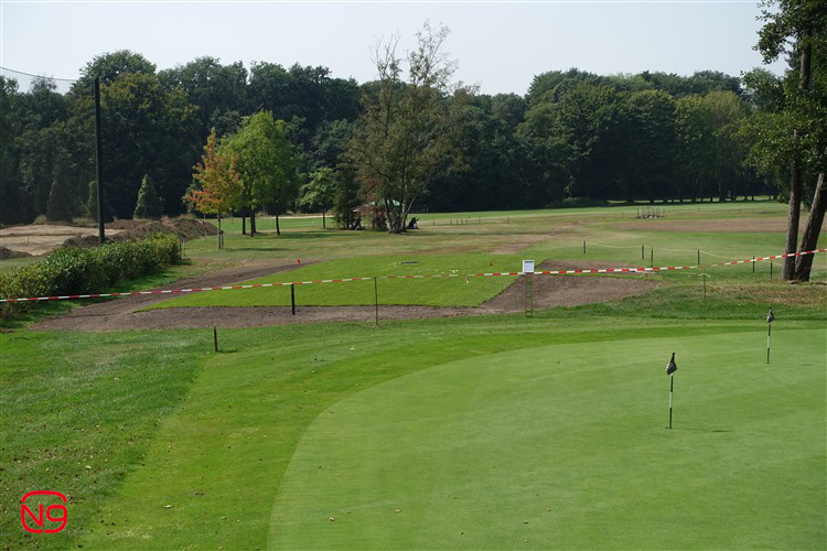WGCGT_ (5)
